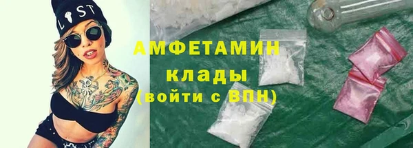 сатива Коряжма