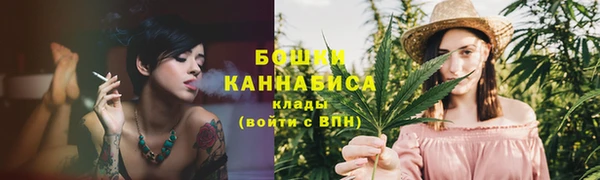 сатива Коряжма