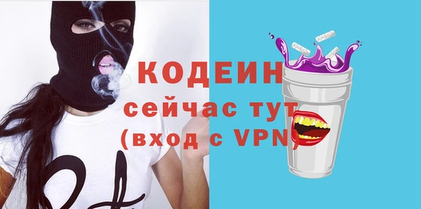 сатива Коряжма