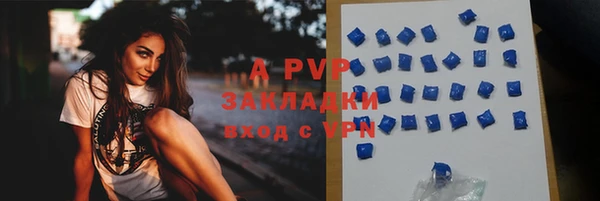 сатива Коряжма