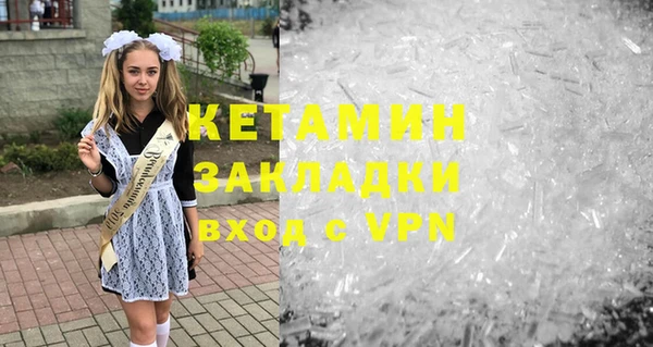 сатива Коряжма