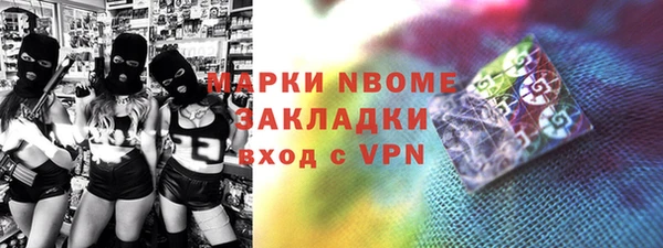 сатива Коряжма
