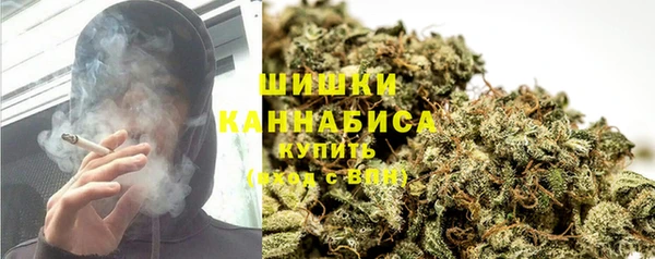 сатива Коряжма