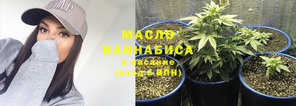 сатива Коряжма