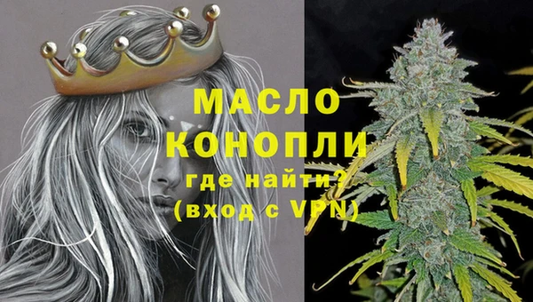 сатива Коряжма